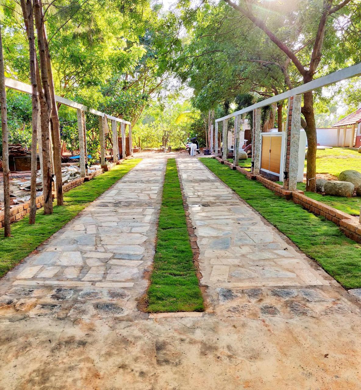 Sun Farm House Auroville Ngoại thất bức ảnh