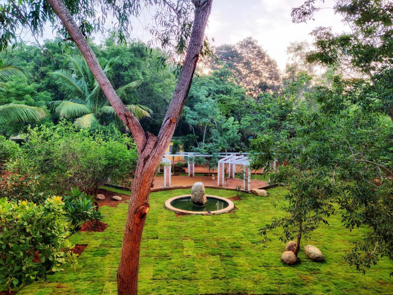 Sun Farm House Auroville Ngoại thất bức ảnh