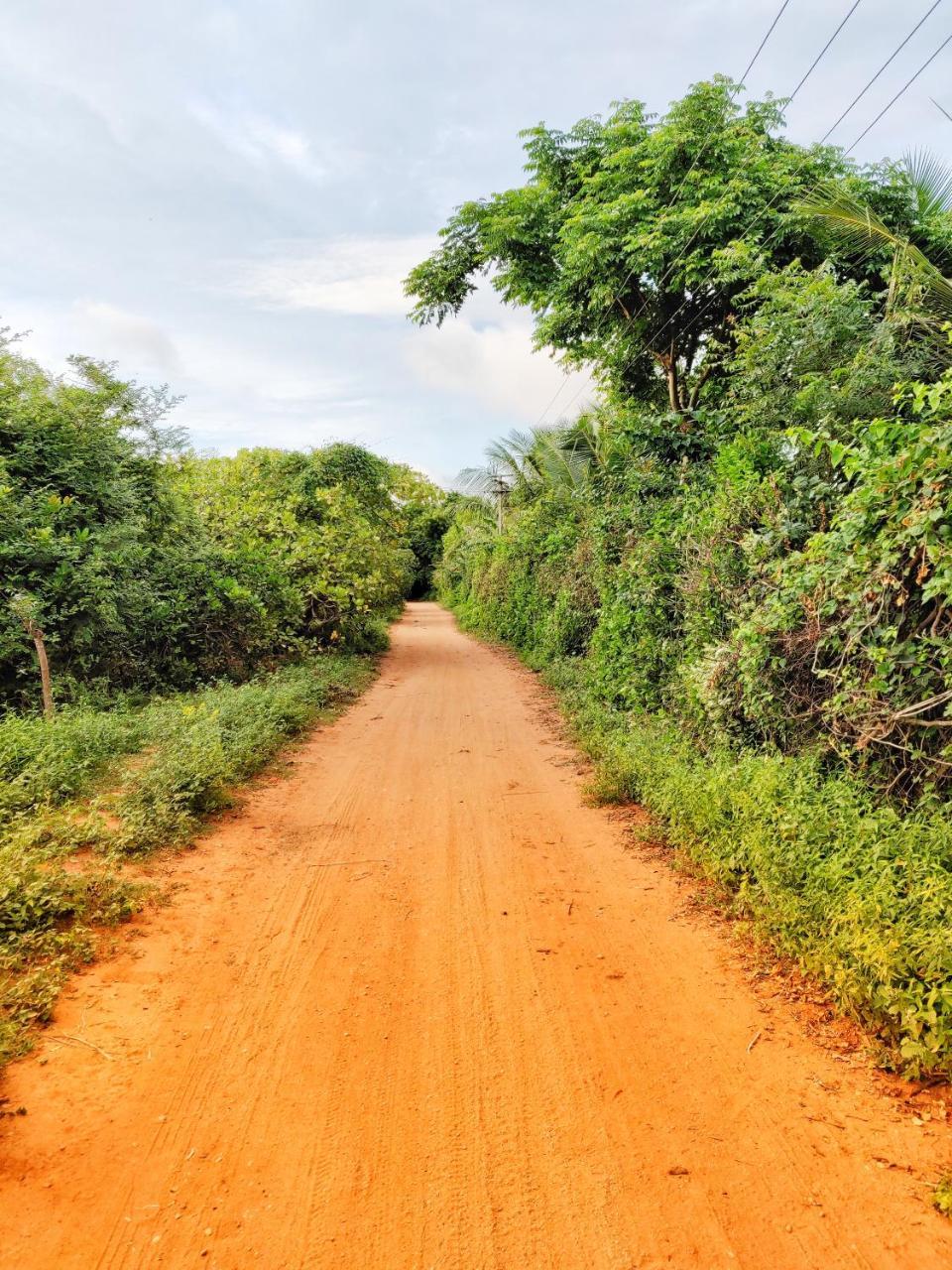 Sun Farm House Auroville Ngoại thất bức ảnh